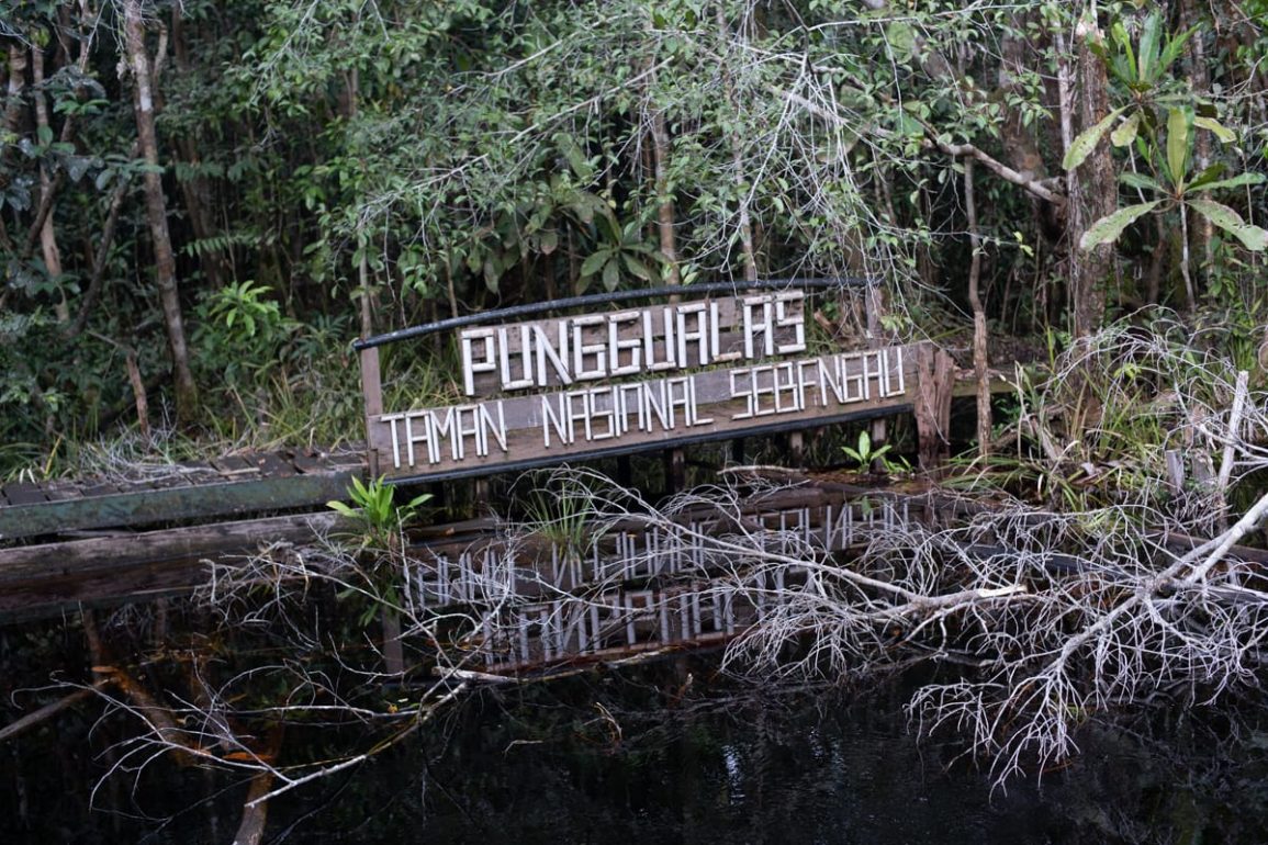 hutanhijau.org