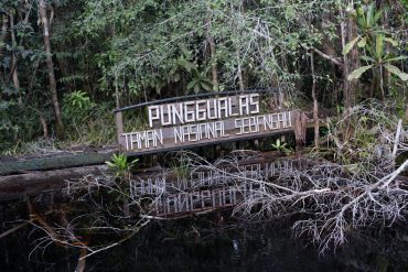 hutanhijau.org