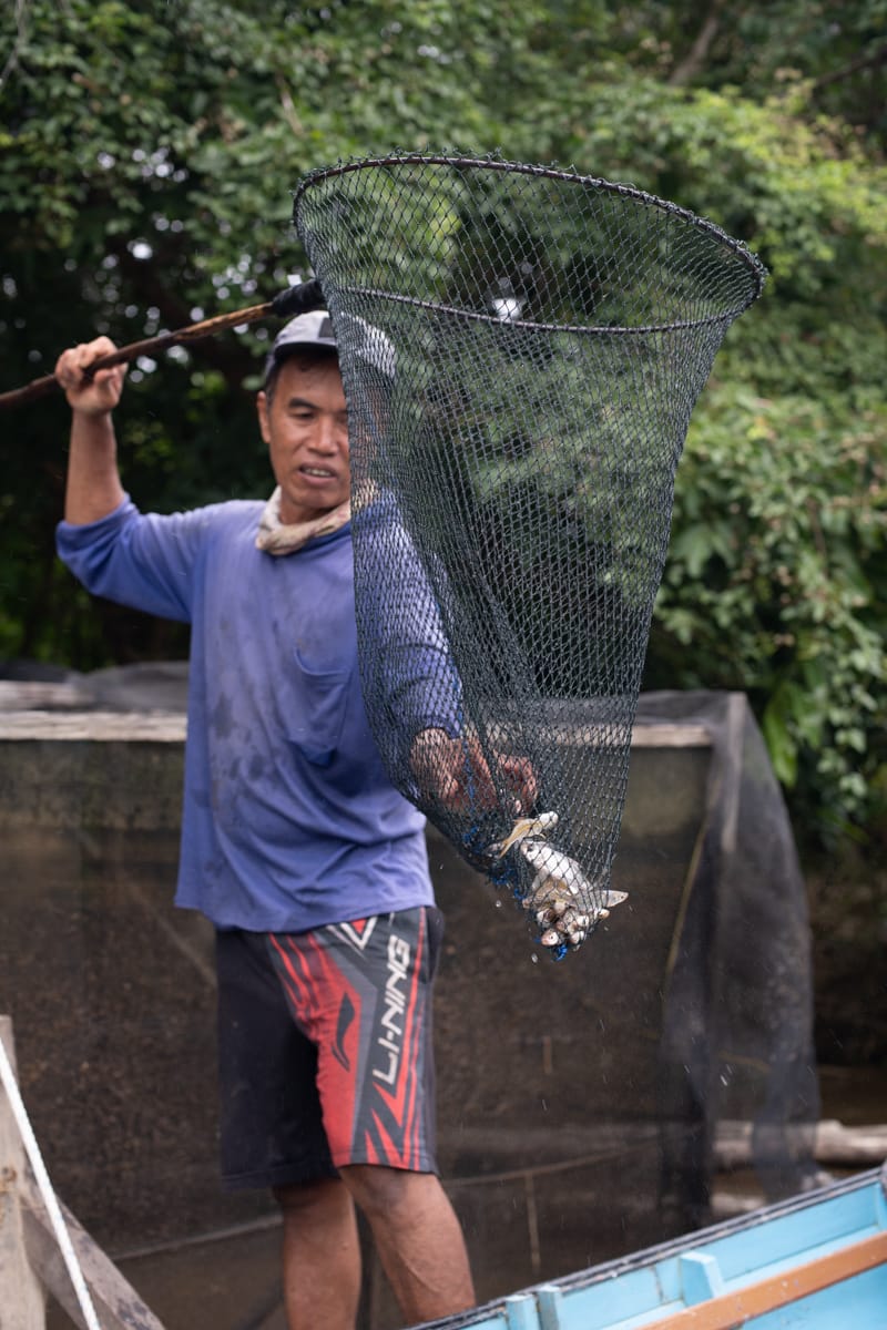 hutanhijau.org