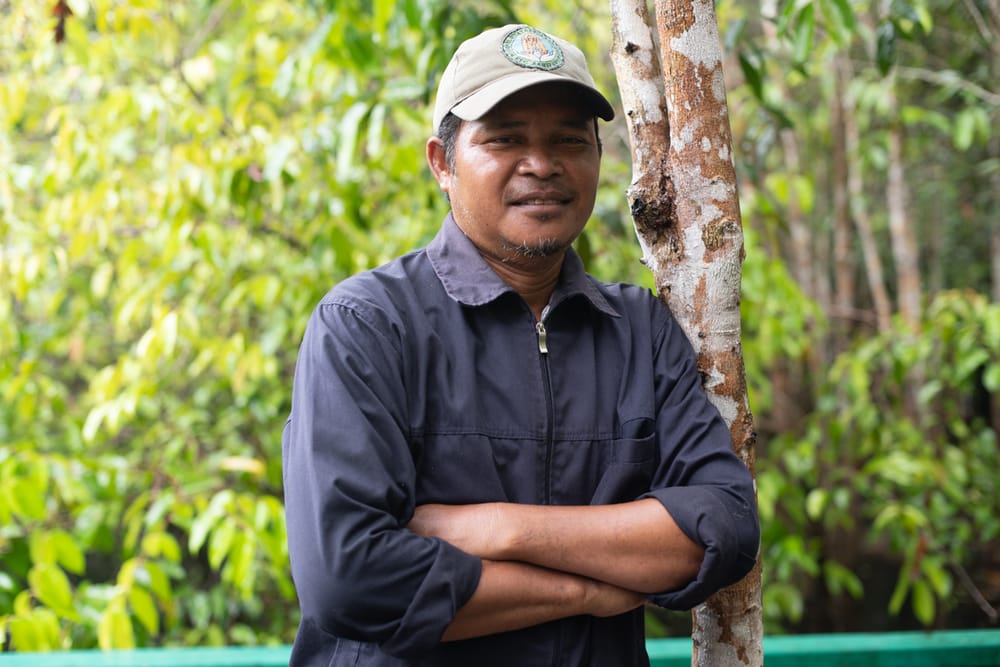 hutanhijau.org