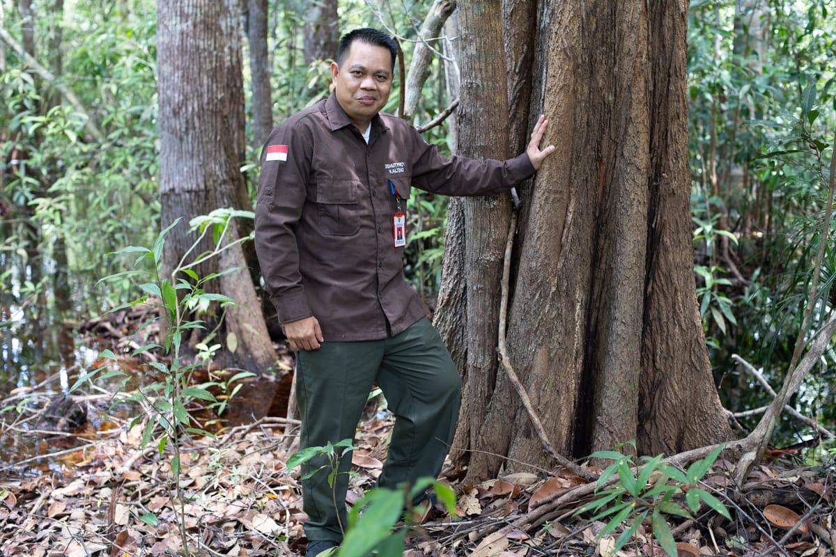 hutanhijau.org