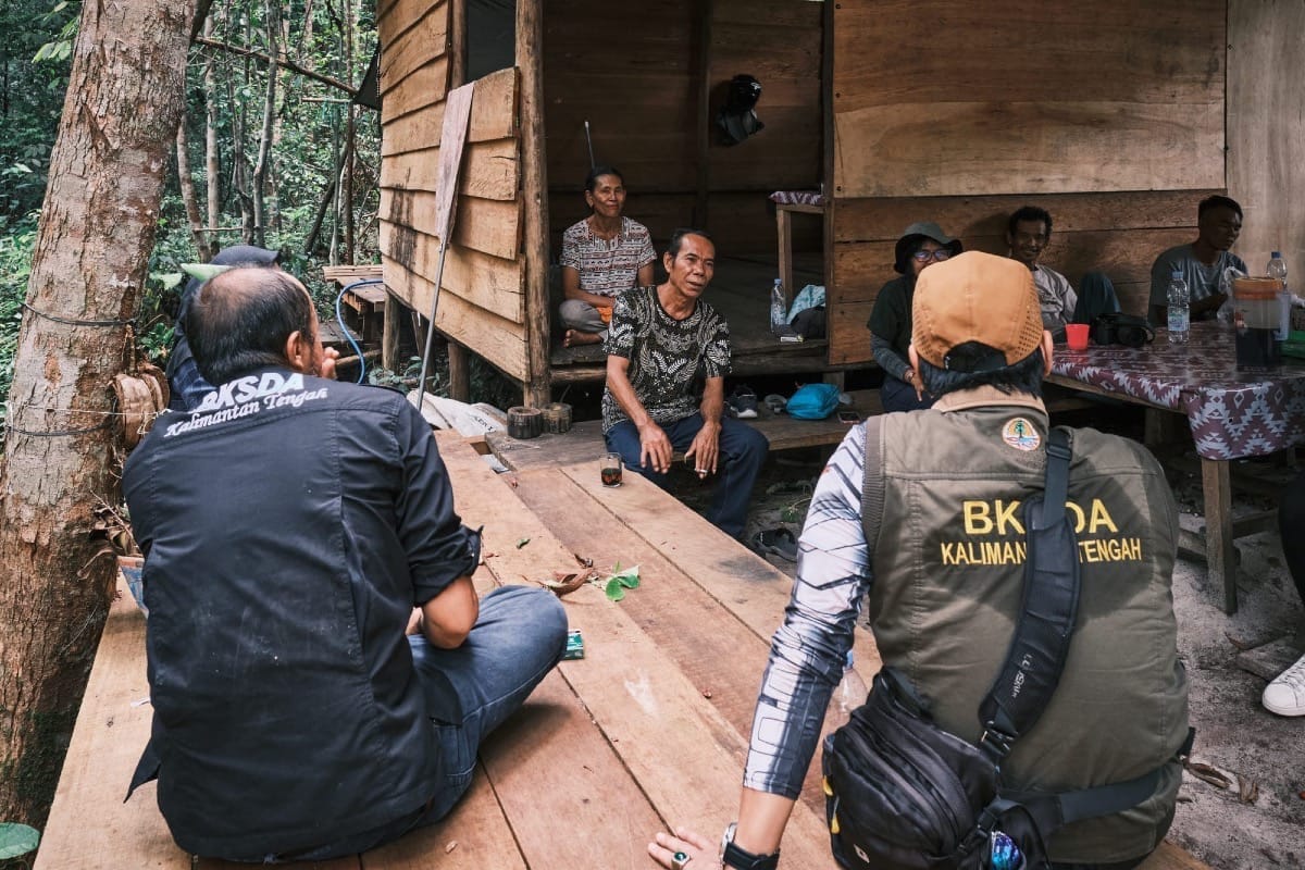 hutanhijau.org