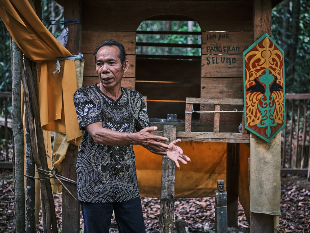 hutanhijau.org